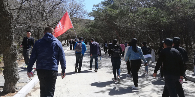 PA电子一飞冲天(集团)有限公司